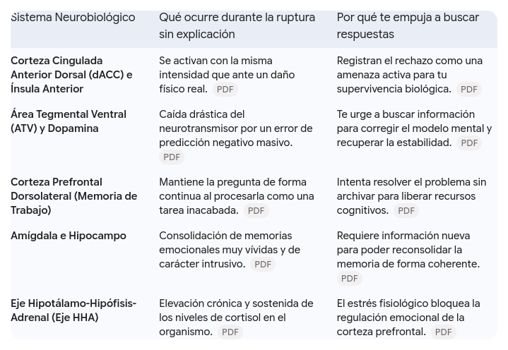 Efectos neurobiológicos de las rupturas sin explicación.