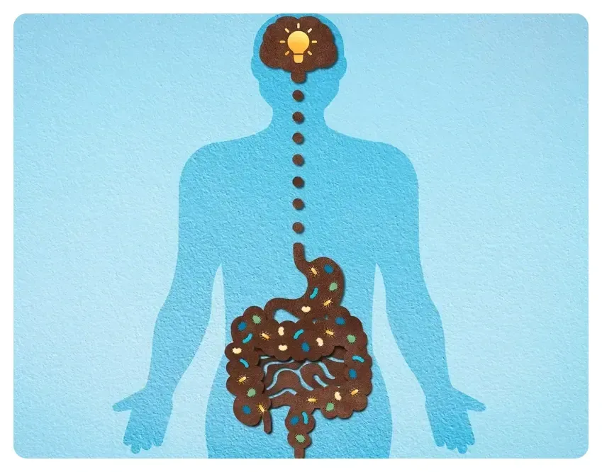 Psicobióticos e influencia en el intestino-cerebro